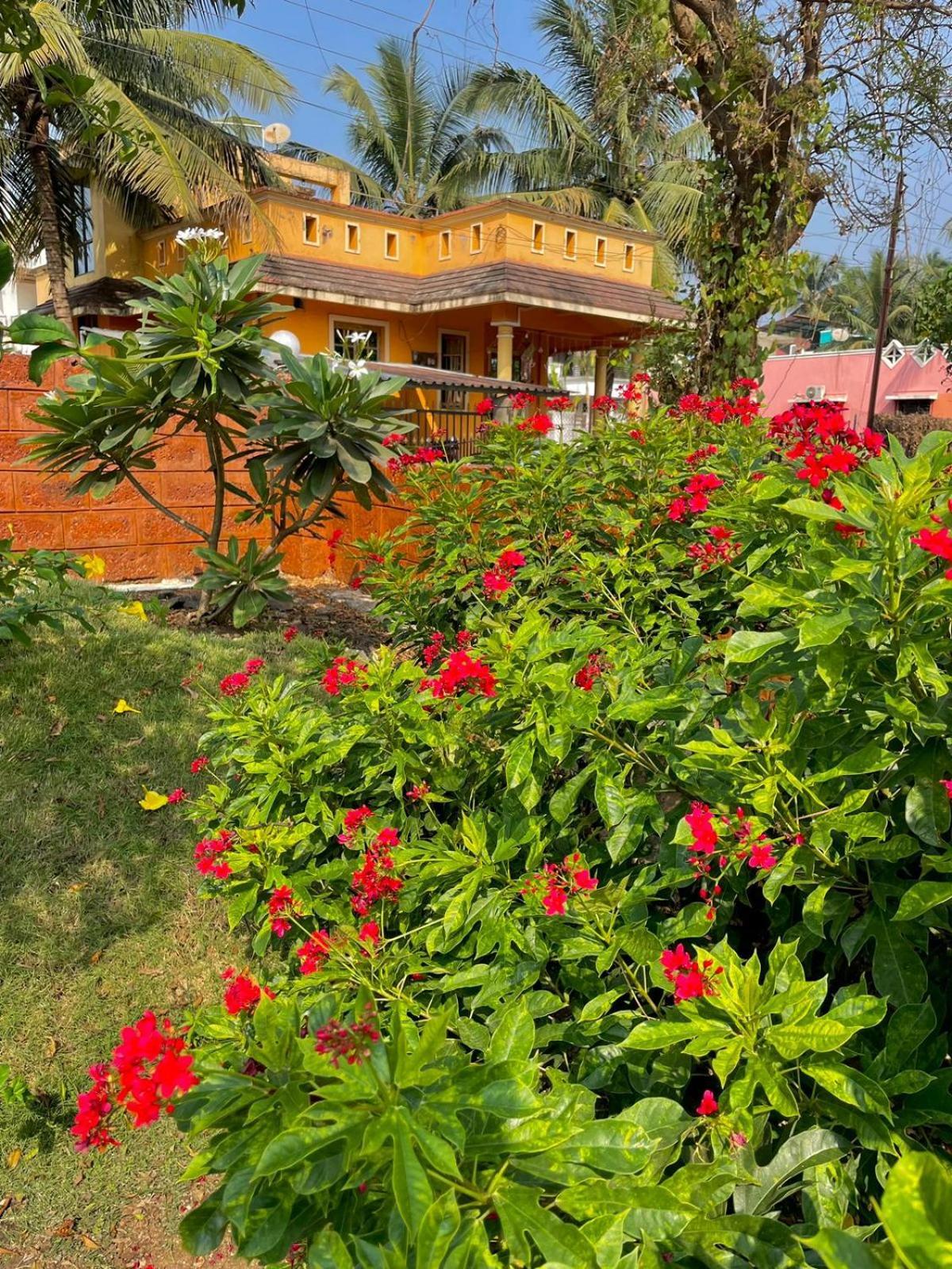 Scarlet Resort Alībāg Esterno foto